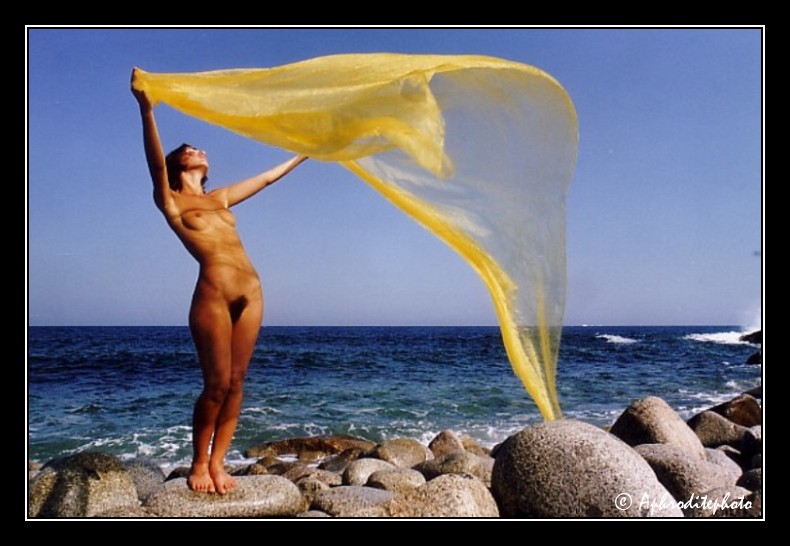 29 Le voile au vent 4